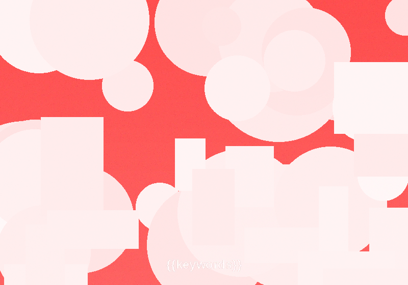 绯红小猫频道创作团队工作照